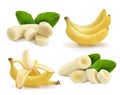 Banana set. Bananas whole and sliced with green leaves.